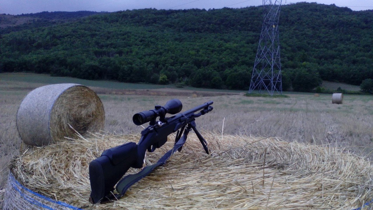 CACCIA DI SELEZIONE AREE VOCATE E NON VOCATE S.V. 2025/2026